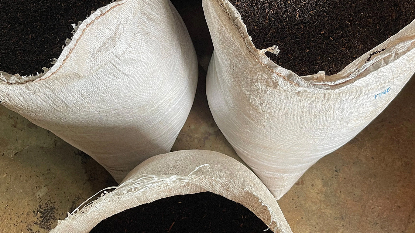 How to steep loose leaf tea