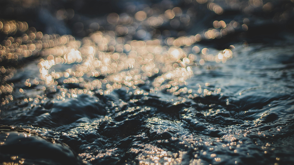 Tea's Vital Role Amidst Unclean Waters